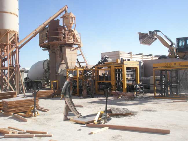 阿爾及利亞砌塊(kuài)磚機客戶