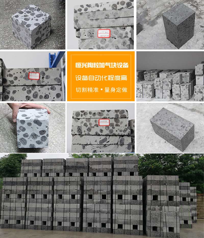 陶(táo)粒加氣(qi)混凝土(tu)砌塊 陶(táo)粒加氣(qì)混凝土(tǔ)砌塊